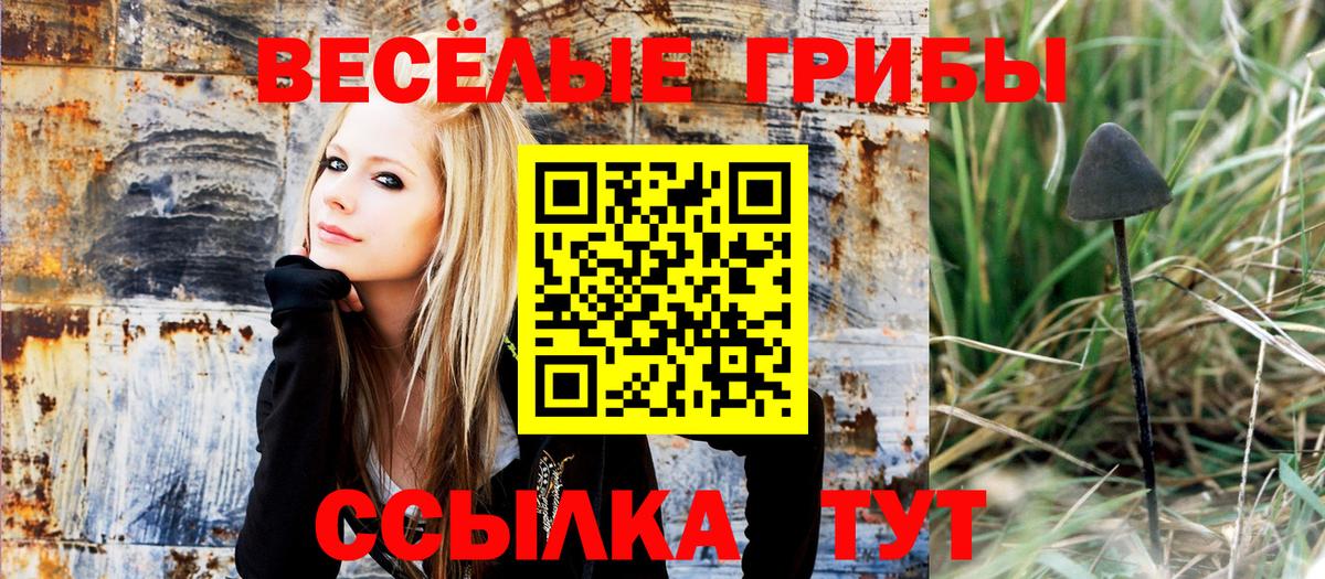 Городец  Псилоцибиновые грибы Psilocybe  Вход с VPN 